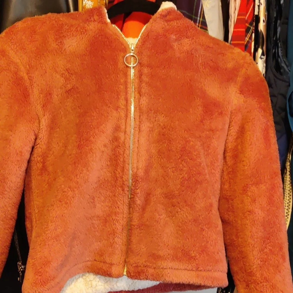 Jacket - Picture 2 of 3